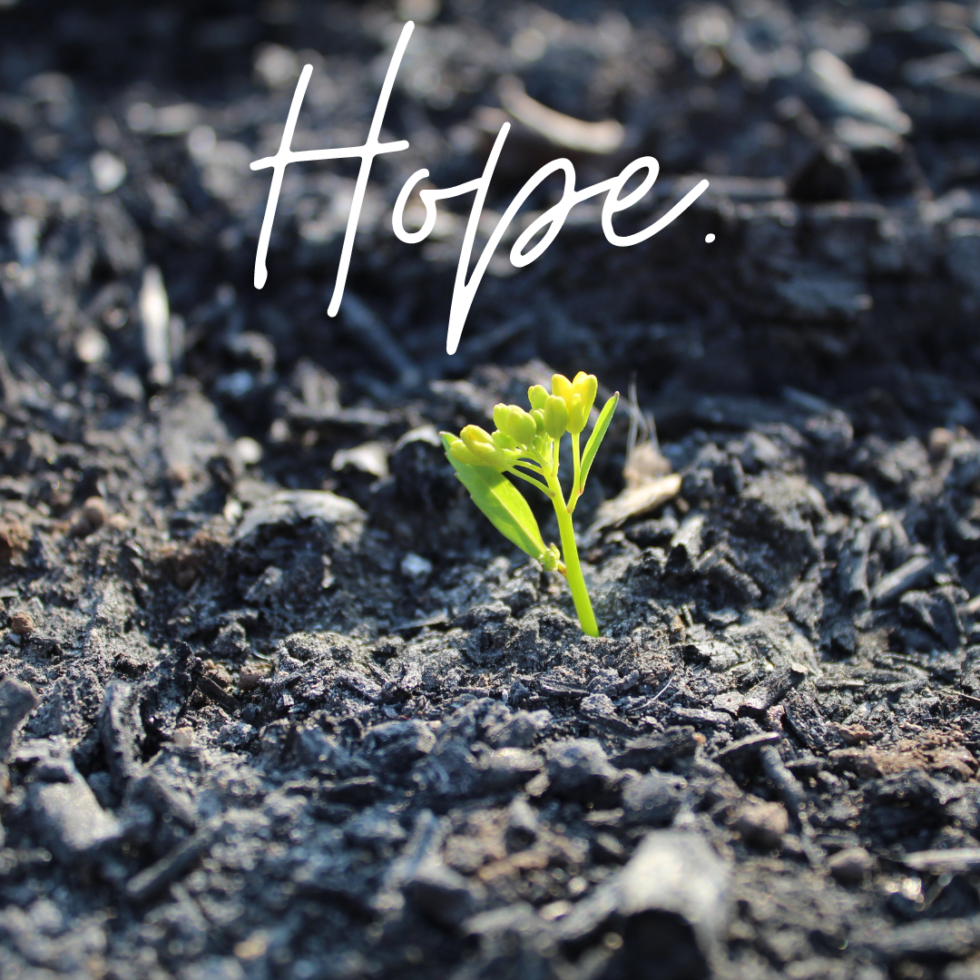 Hope in Hard Times | The McGinnity Family Foundation